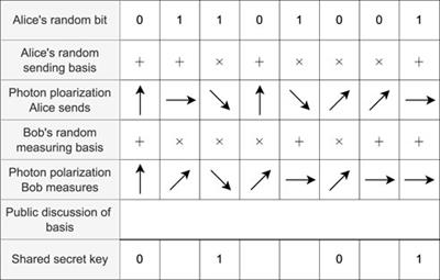 Quantum voting protocol without quantum memory